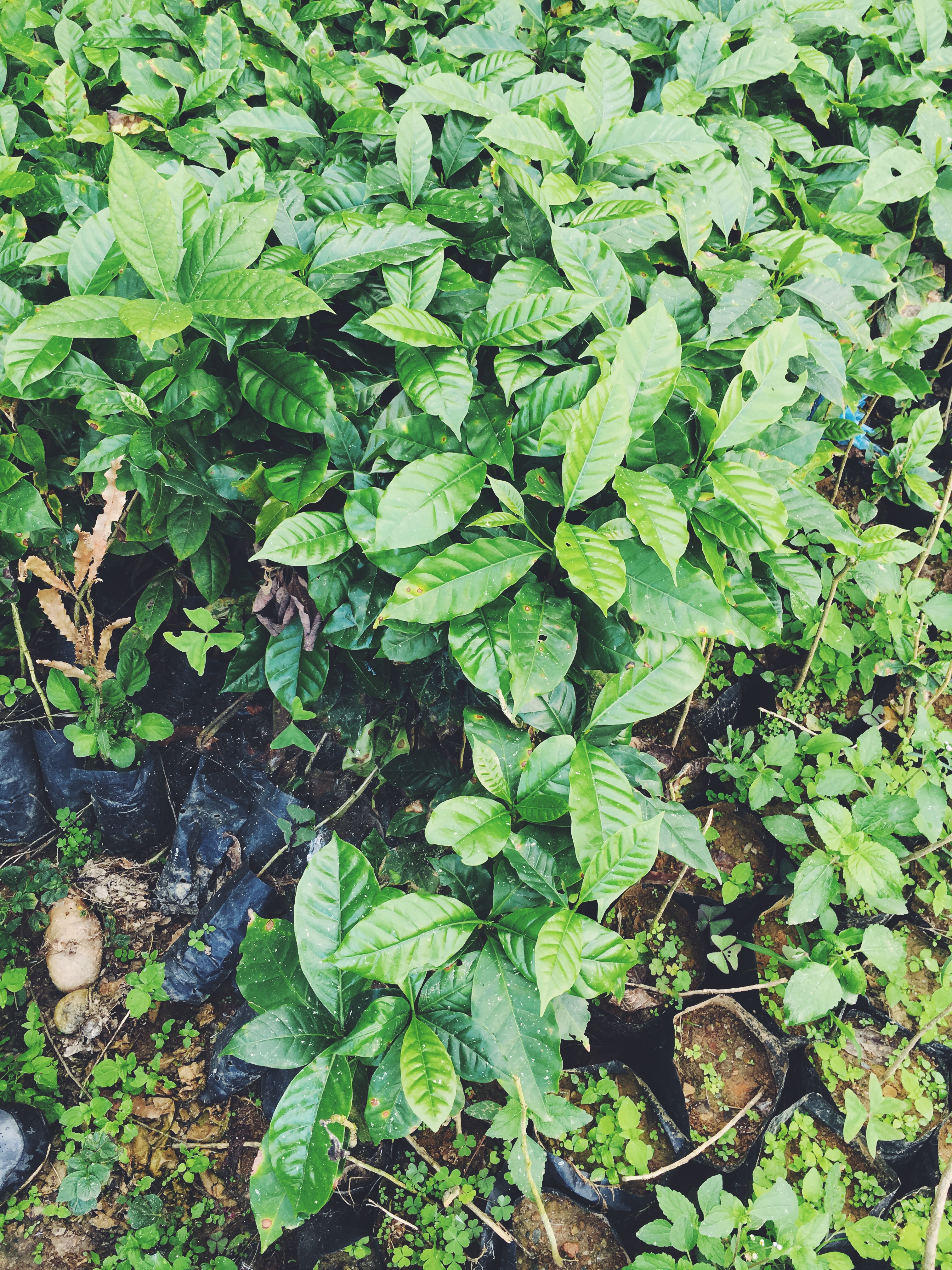 Processed with VSCOcam with f2 preset