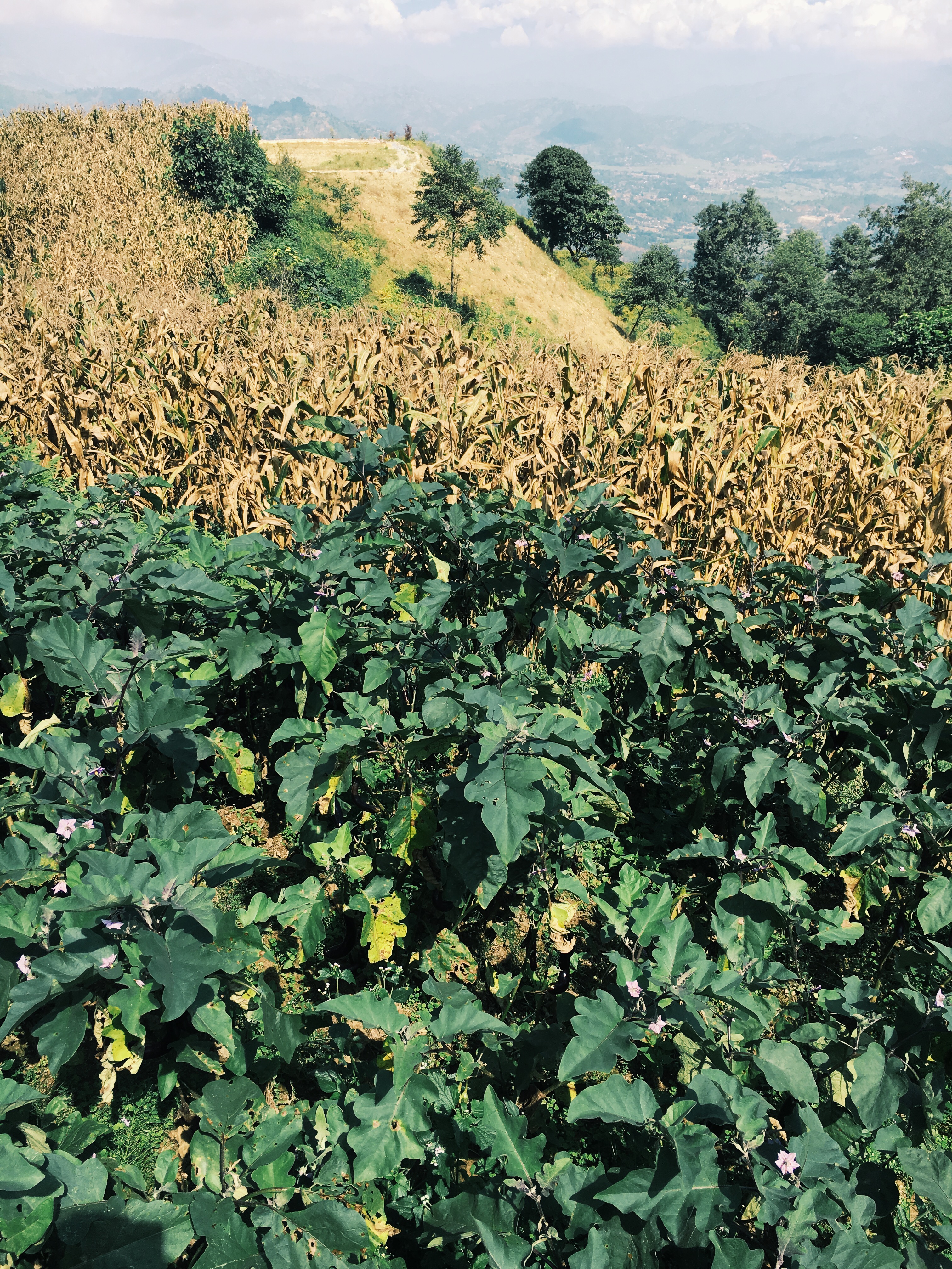 Processed with VSCOcam with g3 preset