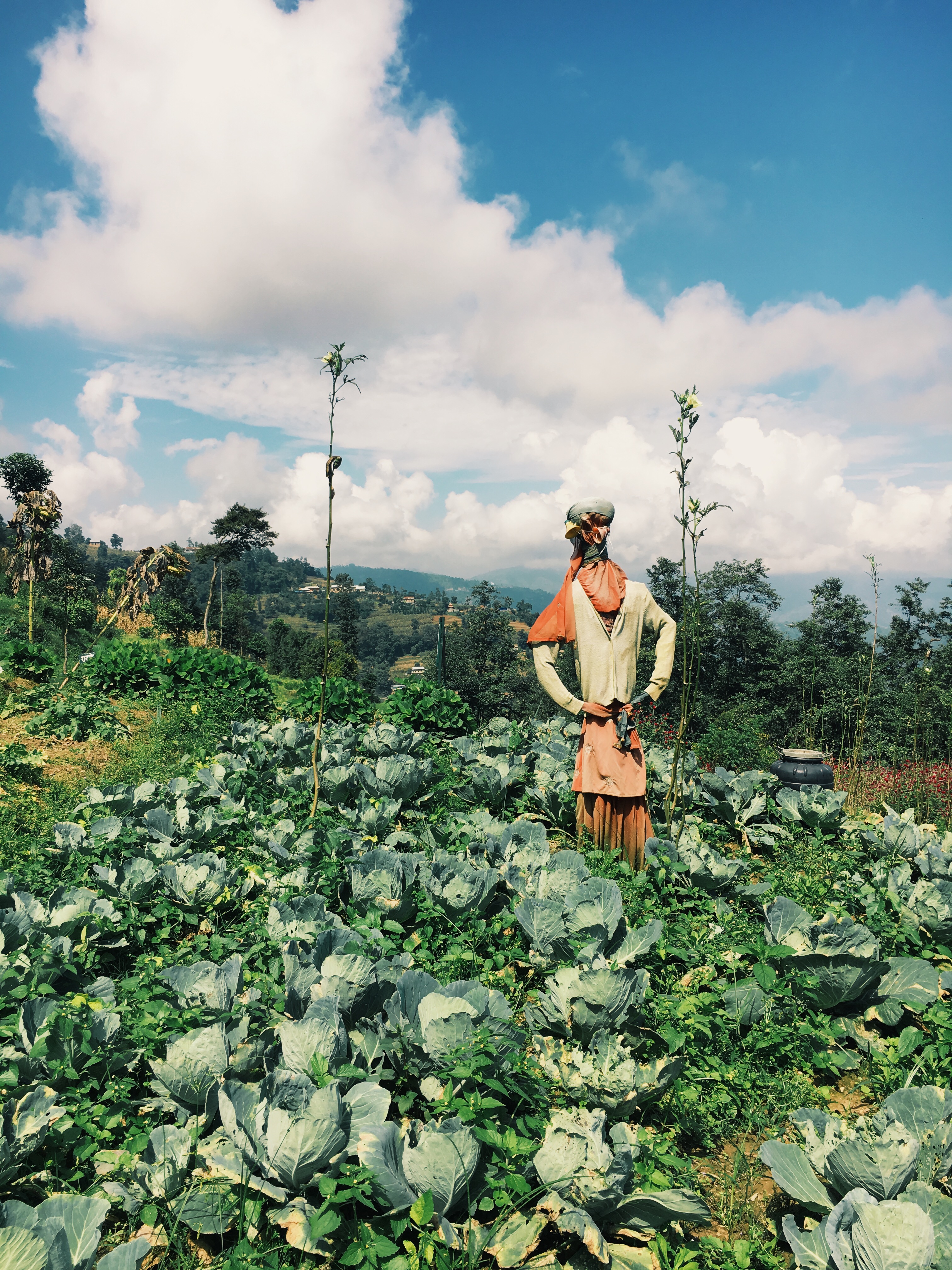 Processed with VSCOcam with g3 preset