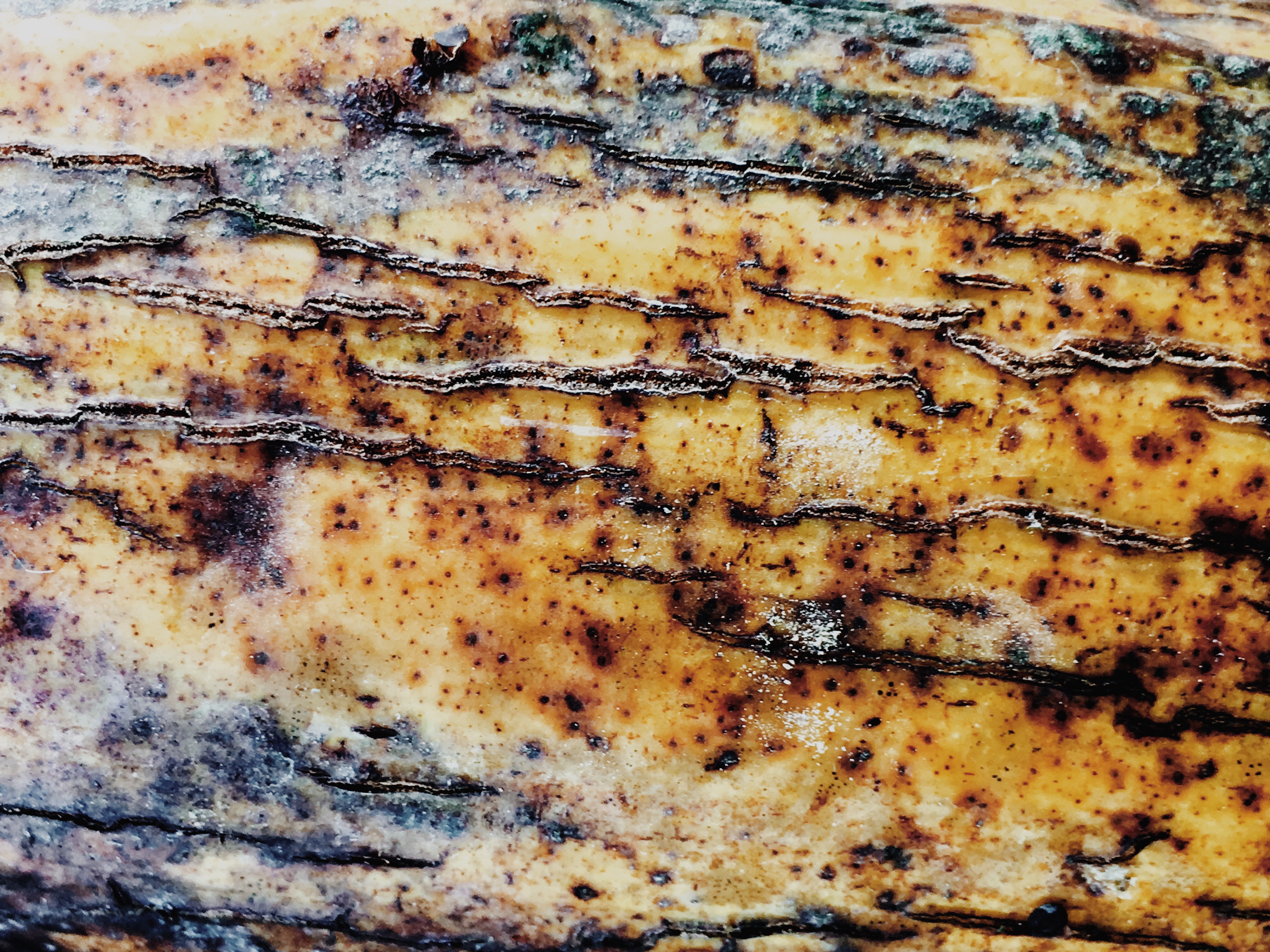 Processed with VSCOcam with m5 preset