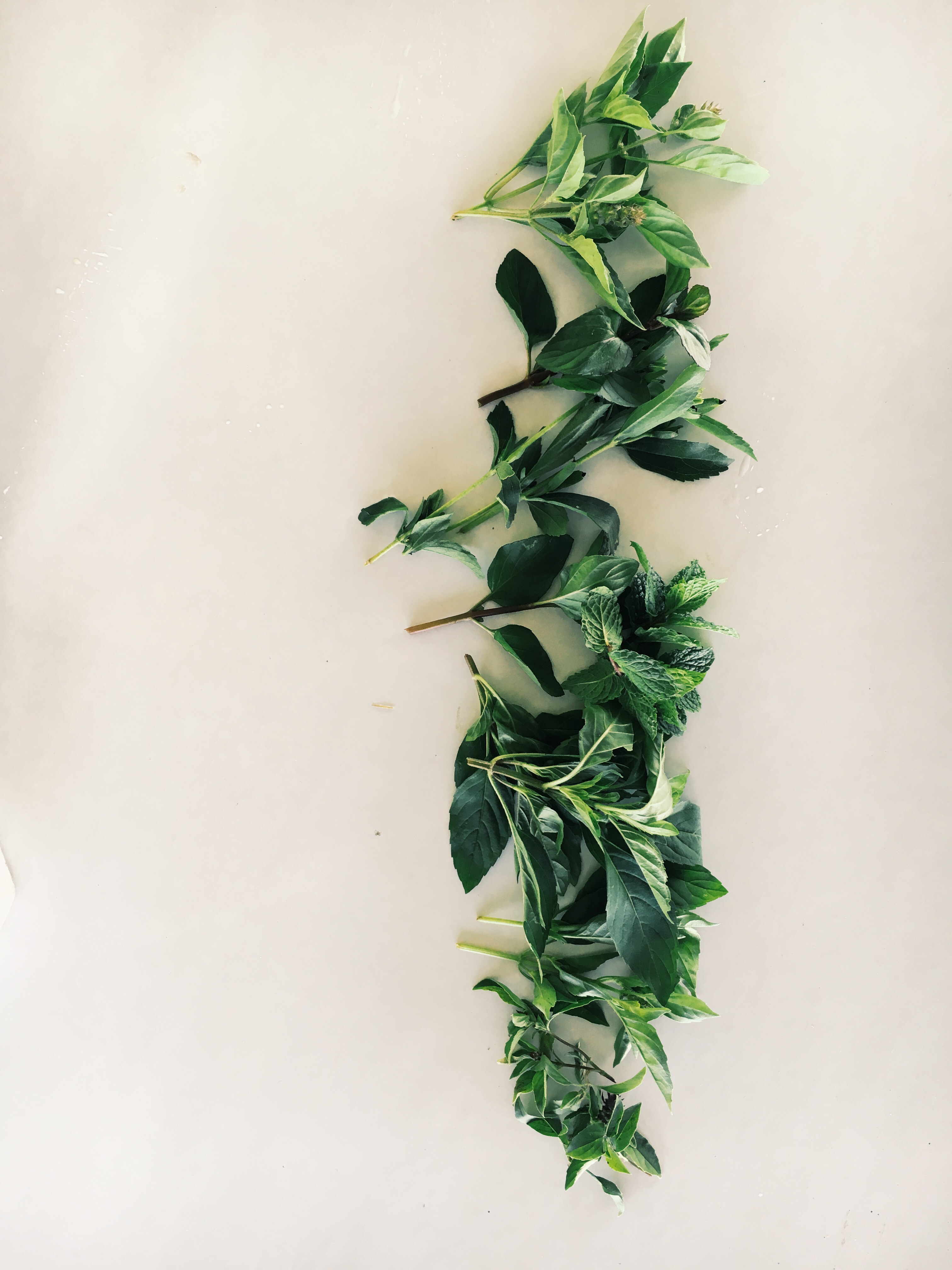 Processed with VSCOcam with g3 preset