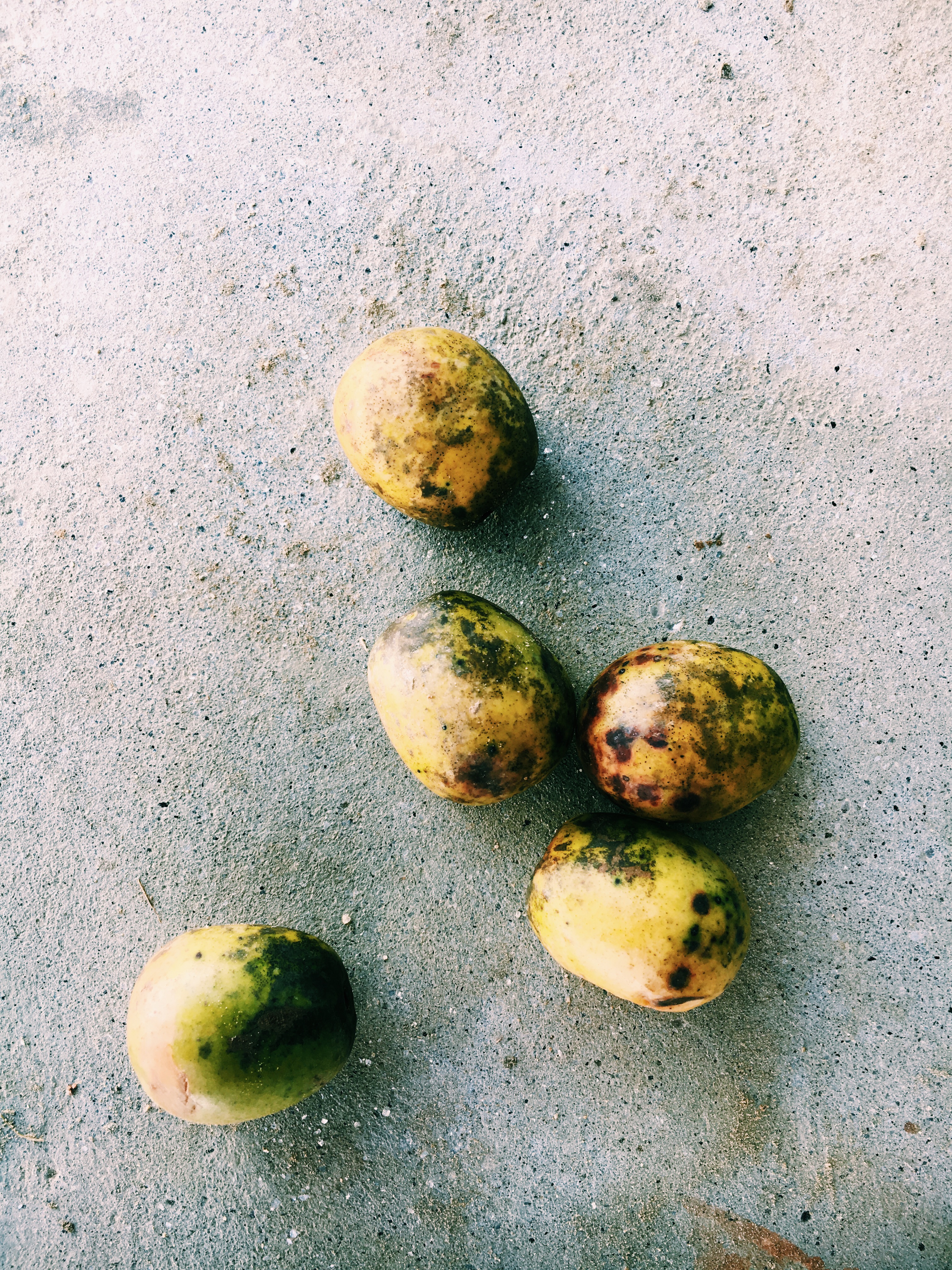 Processed with VSCOcam with c1 preset