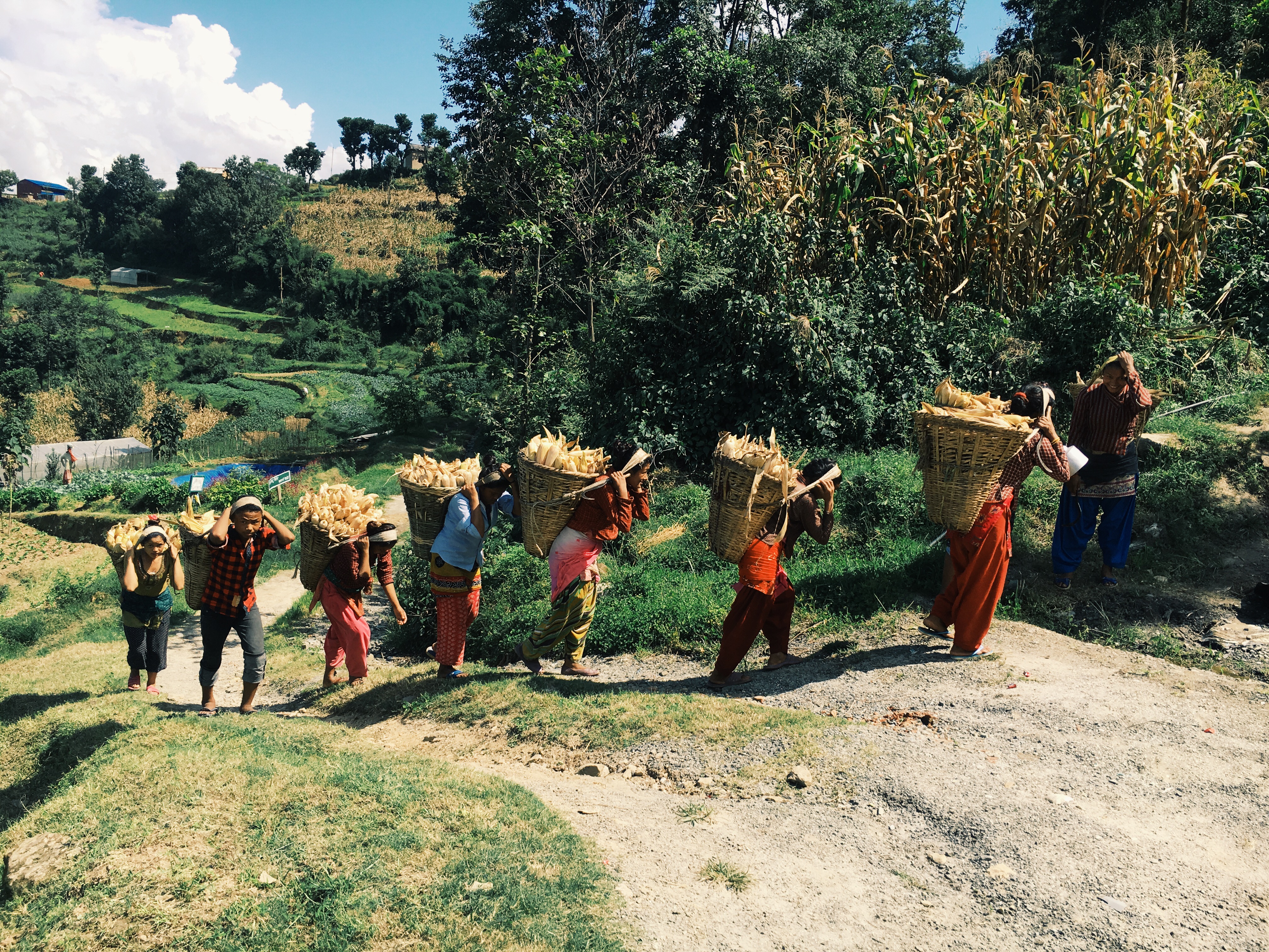 Processed with VSCOcam with g3 preset