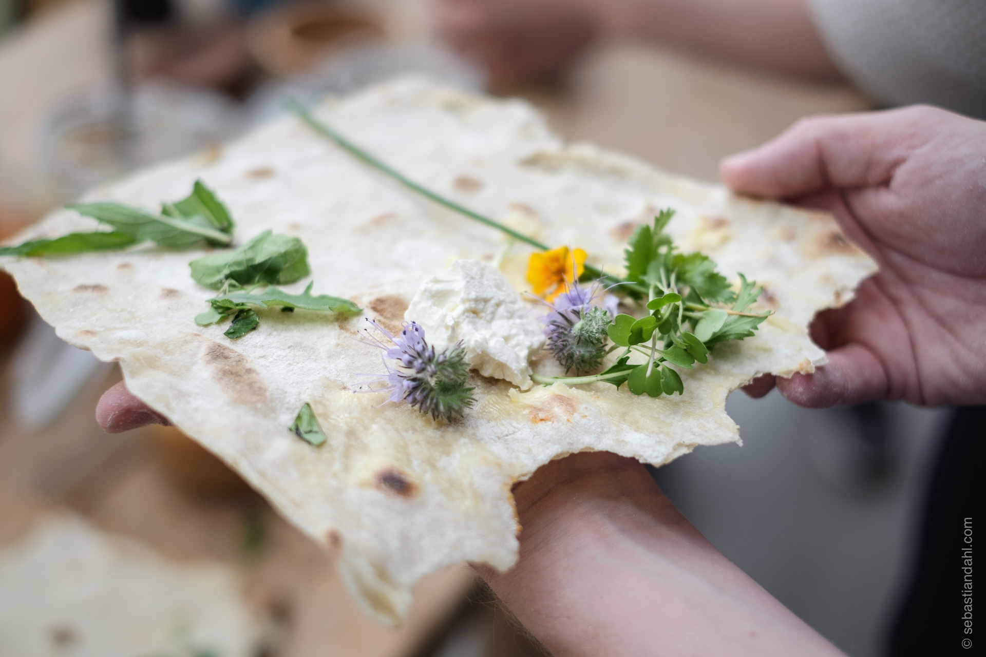 © Sébastian Dahl, Creative Commons BY-NC-SA, please ask before using