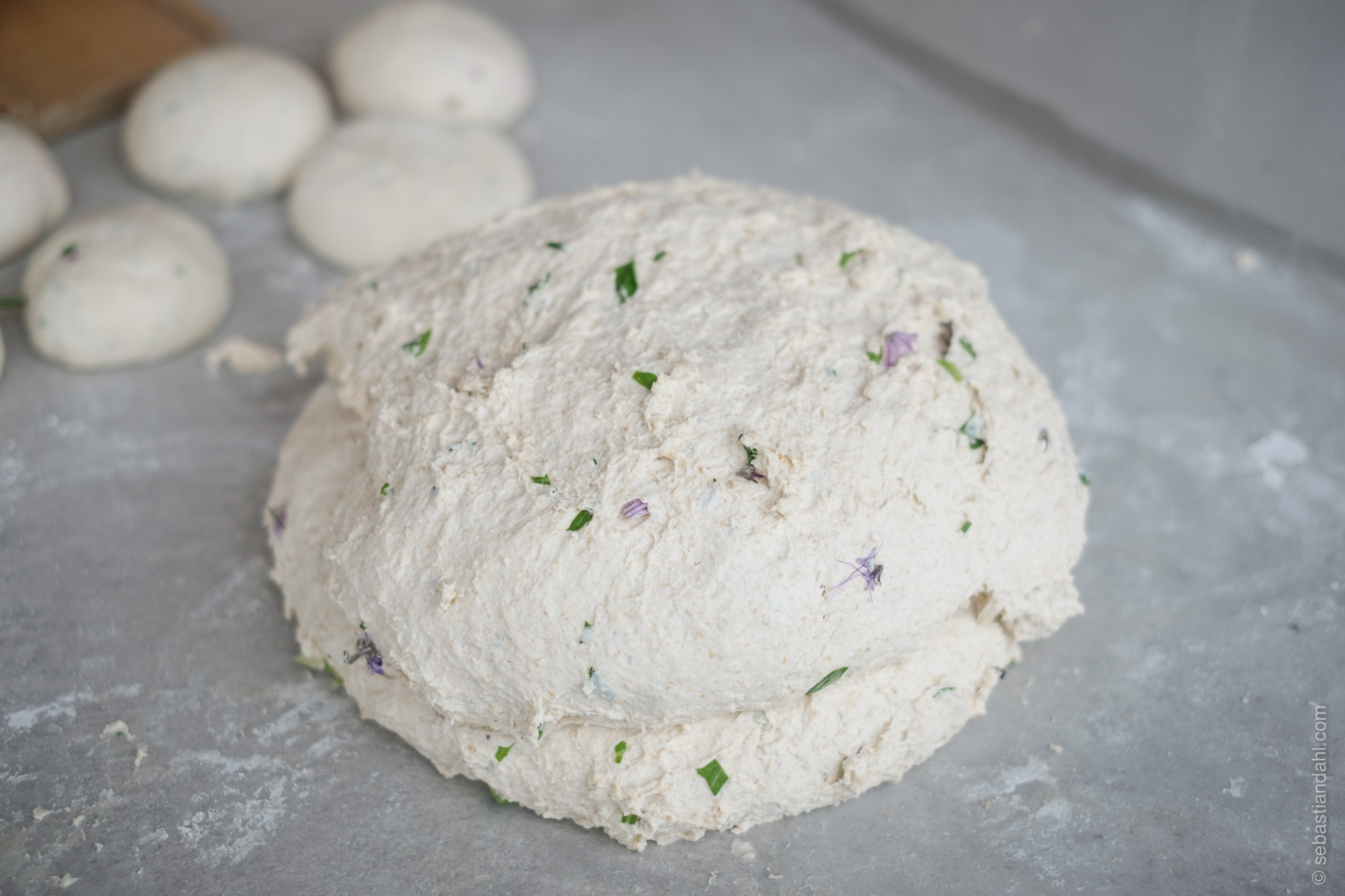 © Sébastian Dahl, Creative Commons BY-NC-SA, please ask before using