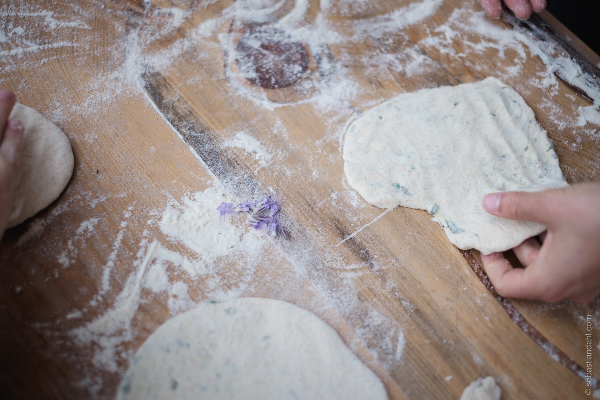 © Sébastian Dahl, Creative Commons BY-NC-SA, please ask before using