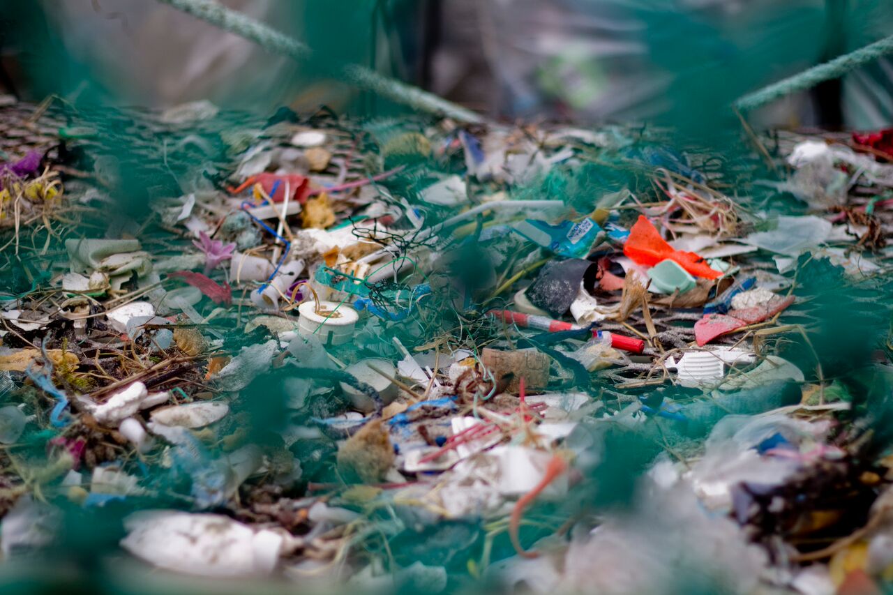 Photo: Anja Bergersen