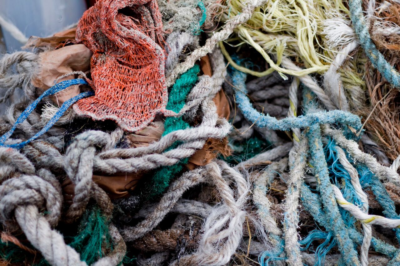 Photo: Anja Bergersen