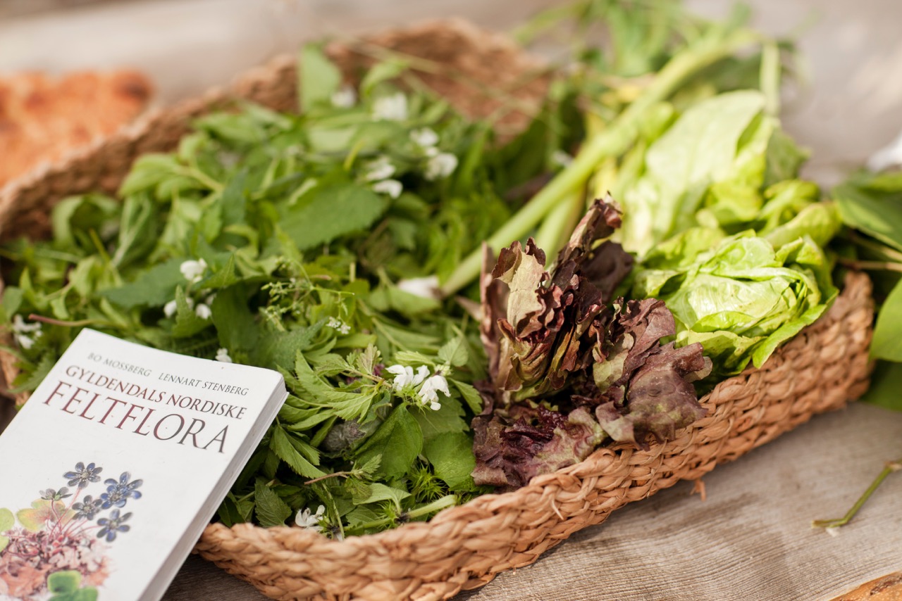 @ Hilde Kvivik Kavli