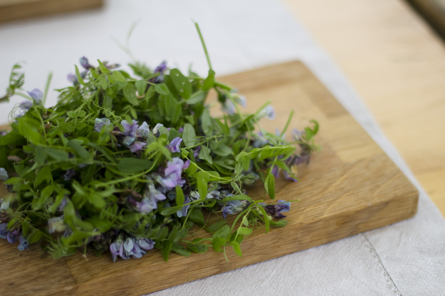 Photo: Anja Bergersen