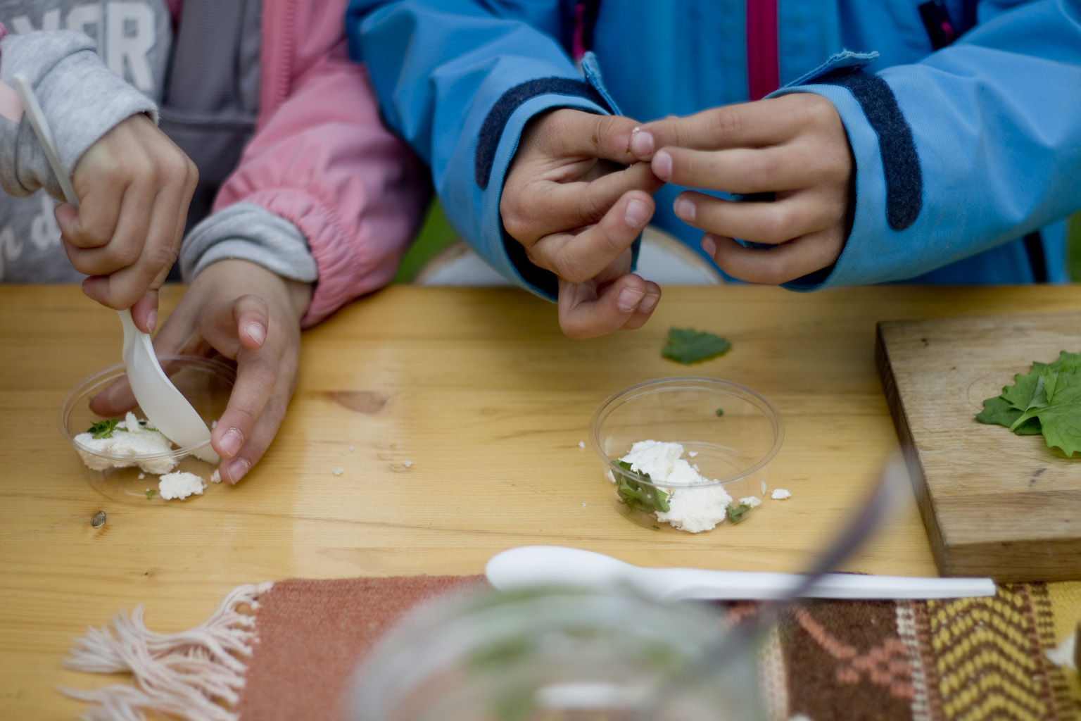 Photo: Anja Bergersen