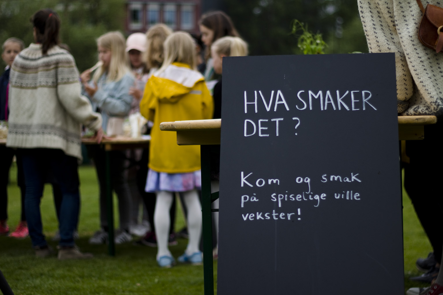 Photo: Anja Bergersen