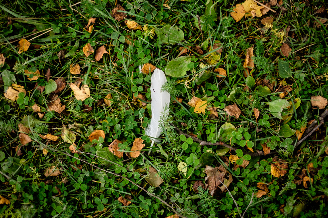 © Sébastian Dahl, Creative Commons BY-NC-SA, please ask before using