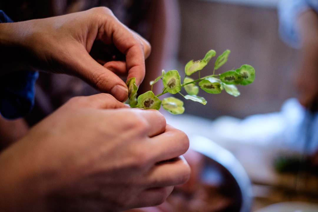 © Sébastian Dahl, Creative Commons BY-NC-SA, please ask before using