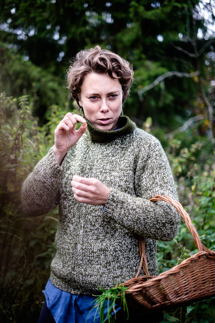 © Sébastian Dahl, Creative Commons BY-NC-SA, please ask before using