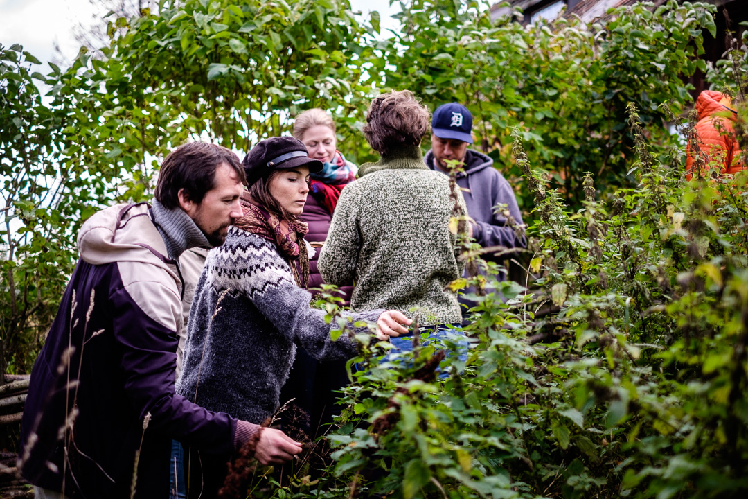 © Sébastian Dahl, Creative Commons BY-NC-SA, please ask before using