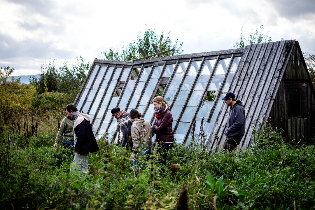 © Sébastian Dahl, Creative Commons BY-NC-SA, please ask before using