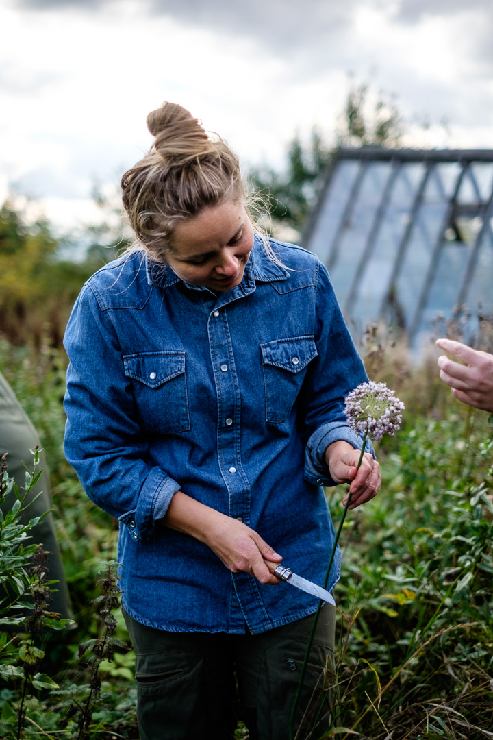 © Sébastian Dahl, Creative Commons BY-NC-SA, please ask before using