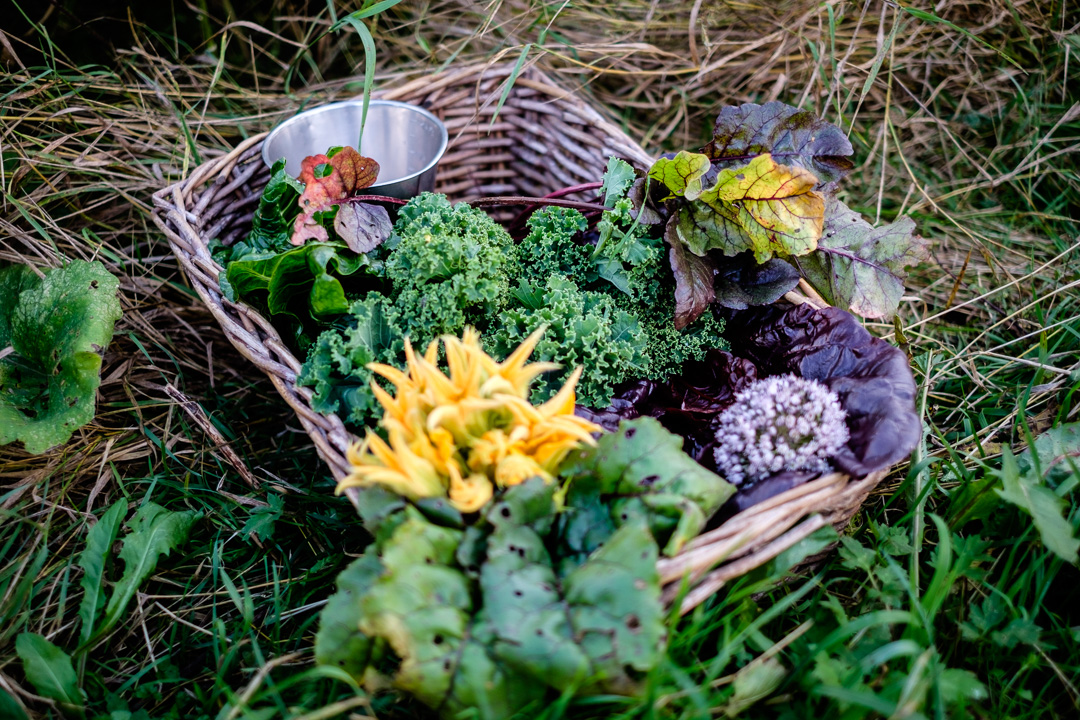 © Sébastian Dahl, Creative Commons BY-NC-SA, please ask before using