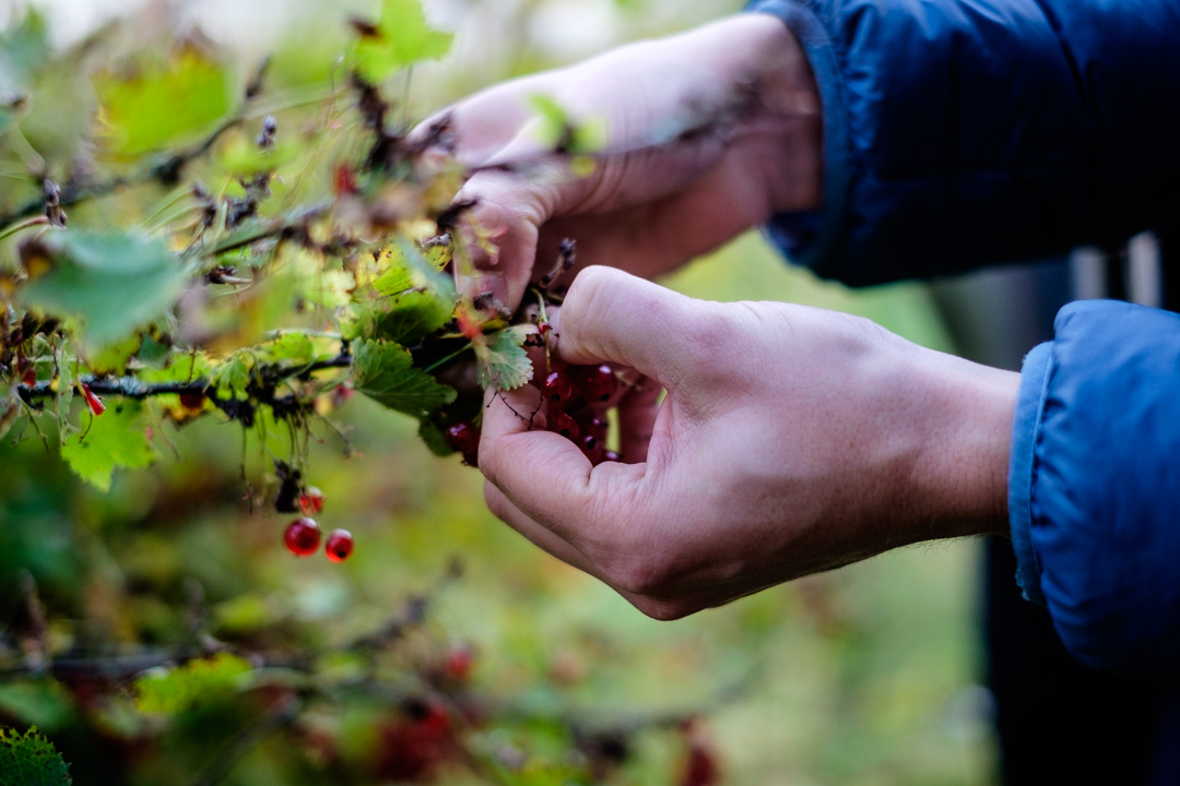 © Sébastian Dahl, Creative Commons BY-NC-SA, please ask before using