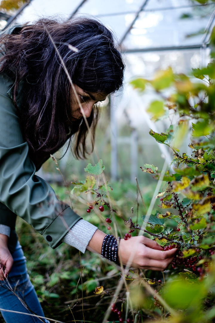 © Sébastian Dahl, Creative Commons BY-NC-SA, please ask before using