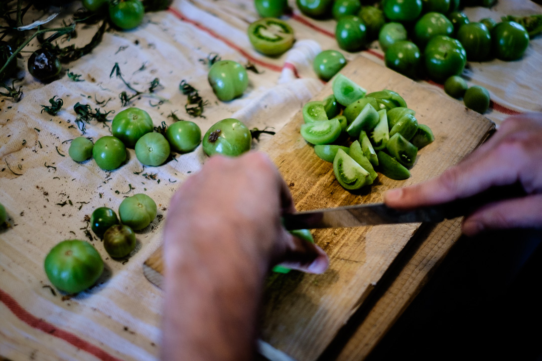 © Sébastian Dahl, Creative Commons BY-NC-SA, please ask before using