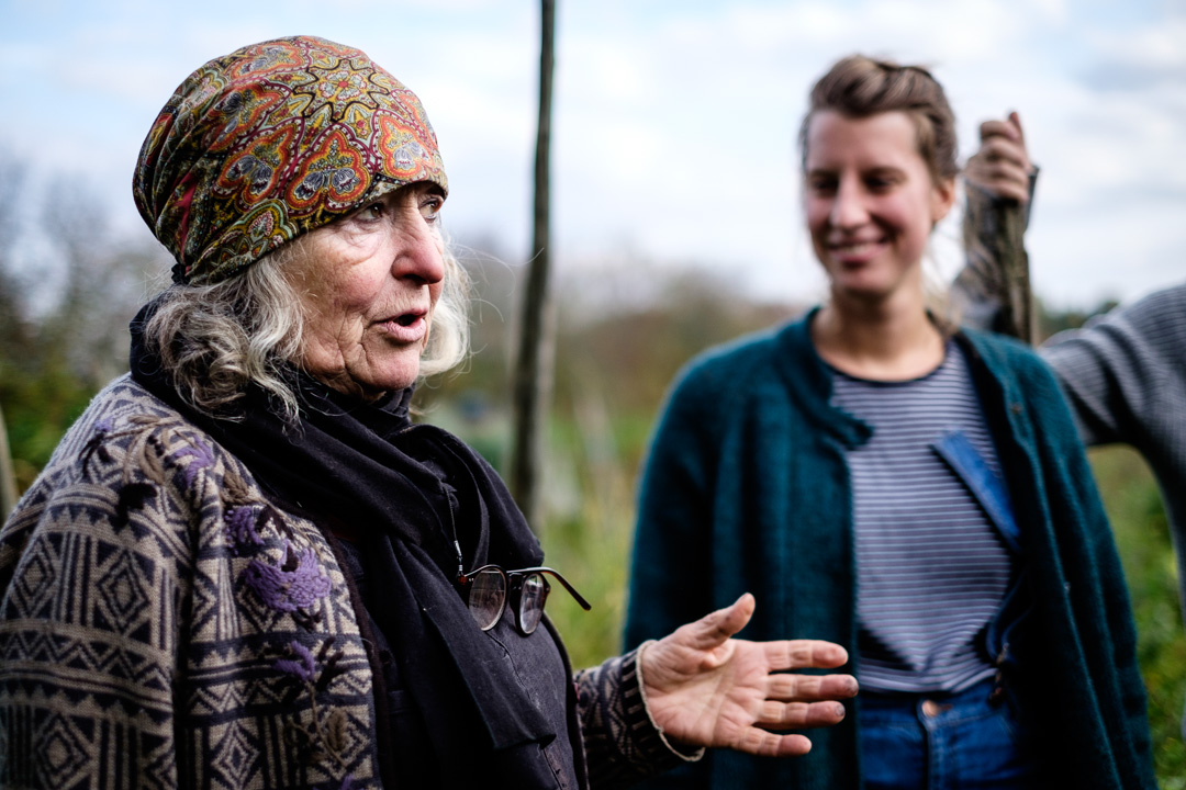 © Sébastian Dahl, Creative Commons BY-NC-SA, please ask before using