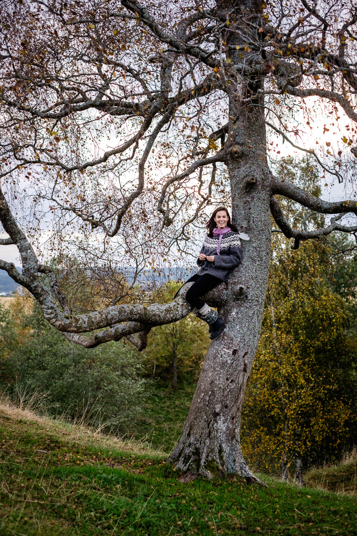 © Sébastian Dahl, Creative Commons BY-NC-SA, please ask before using