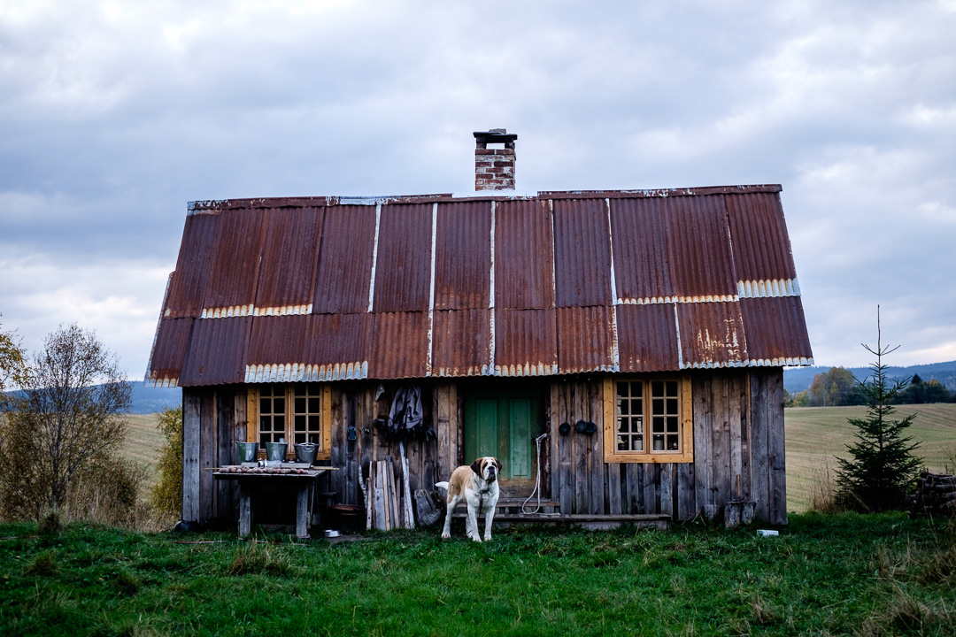 © Sébastian Dahl, Creative Commons BY-NC-SA, please ask before using