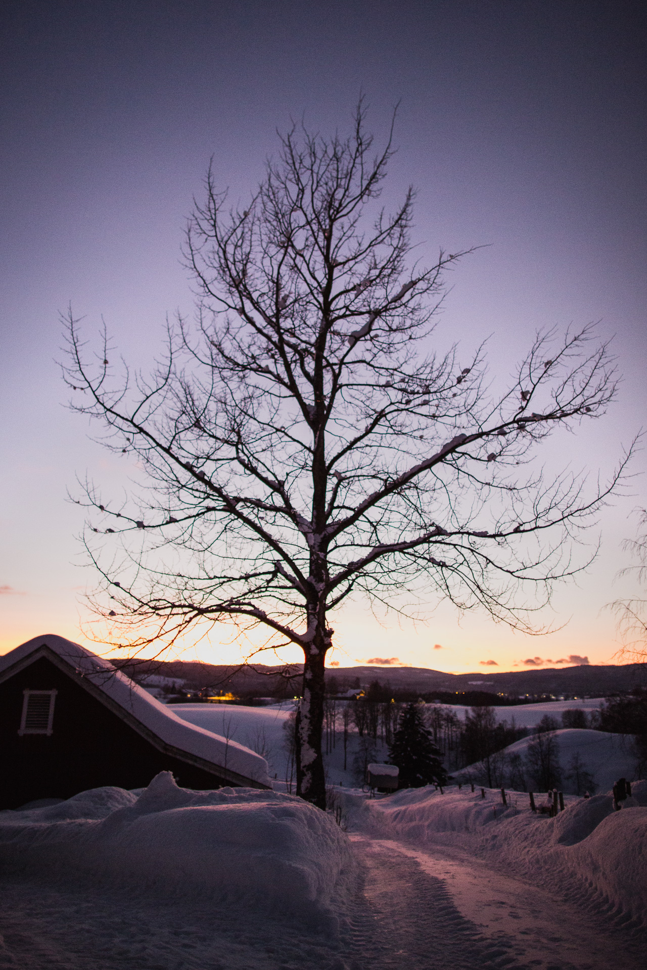 © Sébastian Dahl, Creative Commons BY-NC-SA, please ask before using