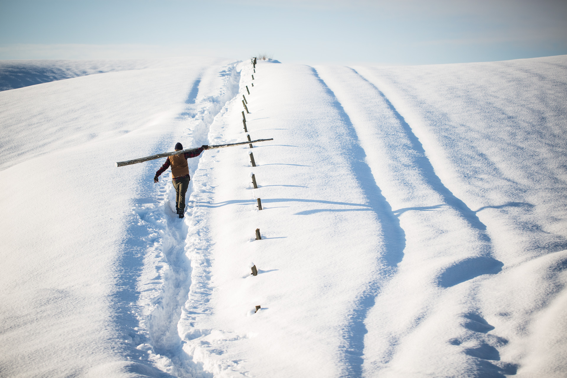 © Sébastian Dahl, Creative Commons BY-NC-SA, please ask before using