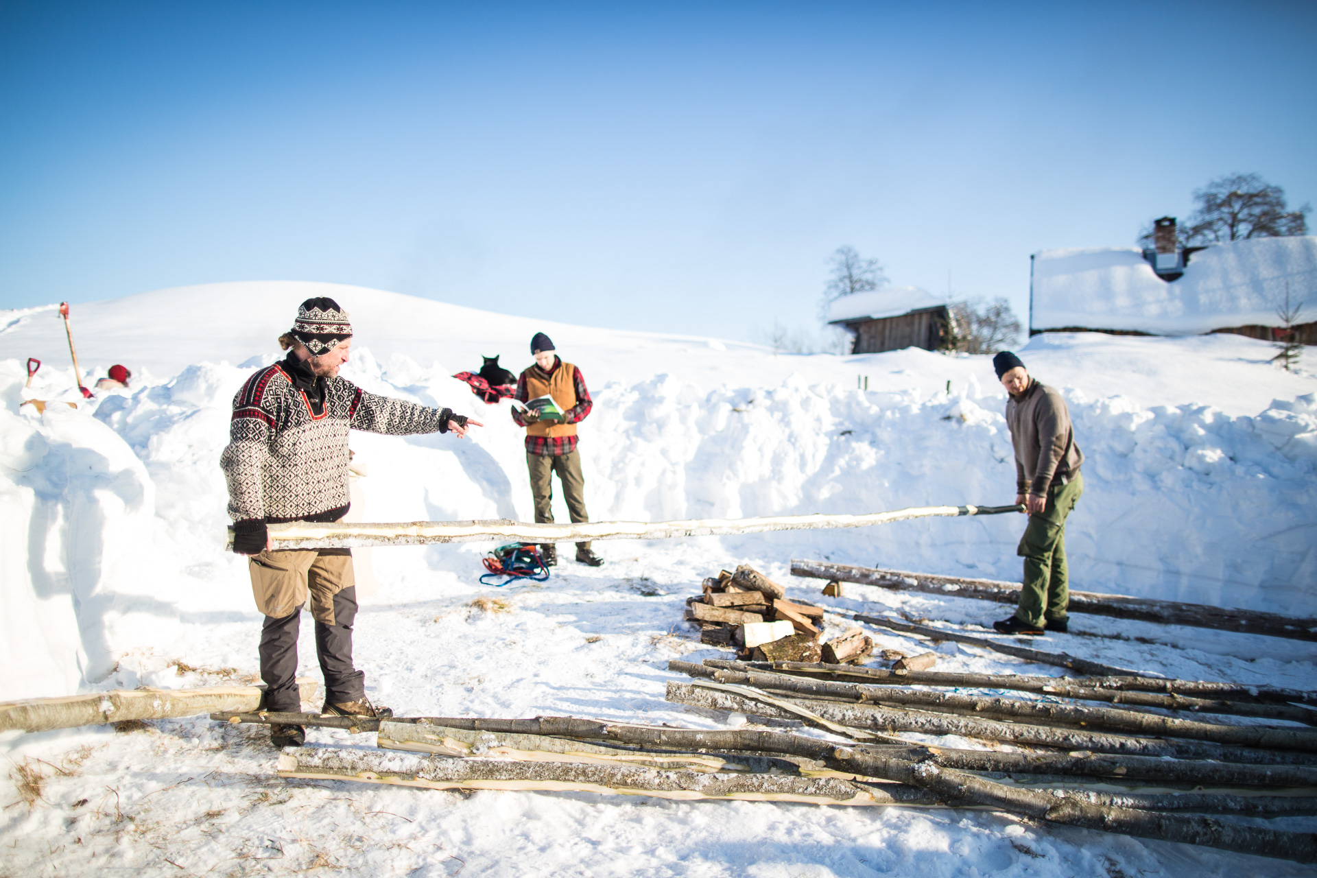 © Sébastian Dahl, Creative Commons BY-NC-SA, please ask before using